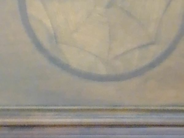 no-image