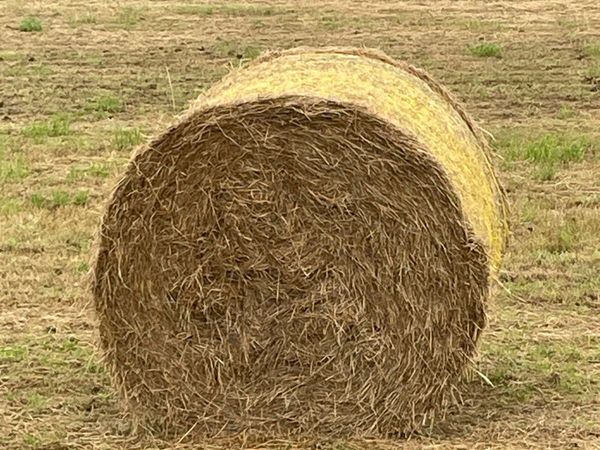 no-image