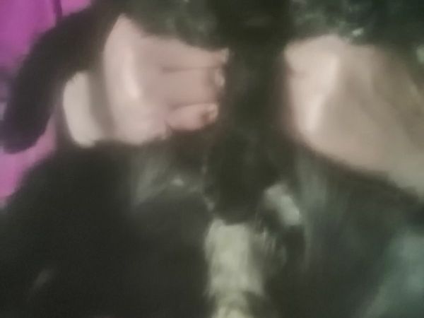 no-image