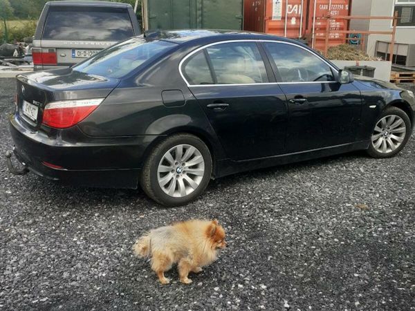 BMW 5-Series Saloon, Diesel, 2010, Black