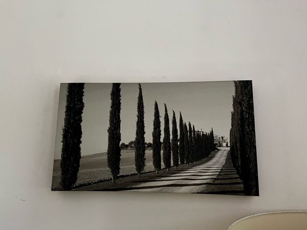 no-image