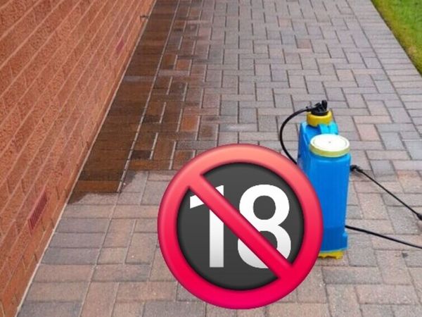 no-image