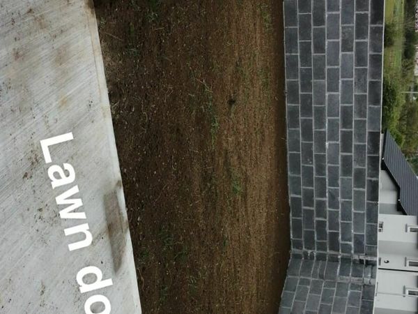 no-image