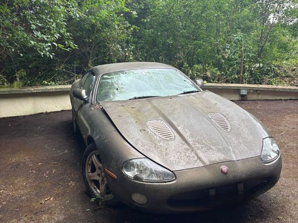Jaguar XK Coupe, Petrol, 2001, Bronze