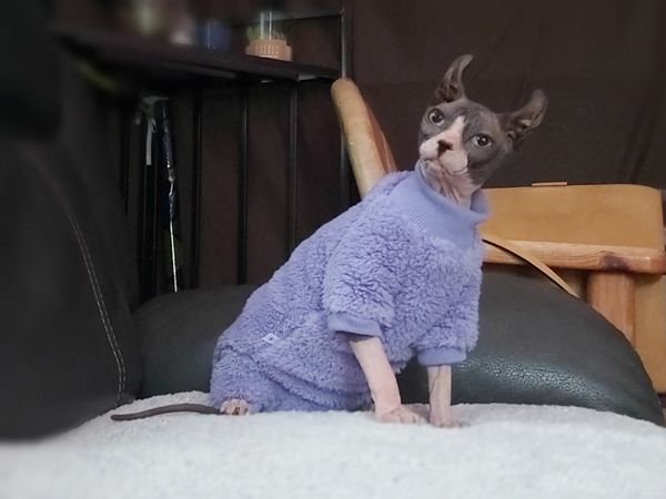 no-image