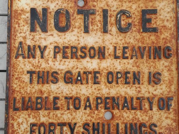 no-image