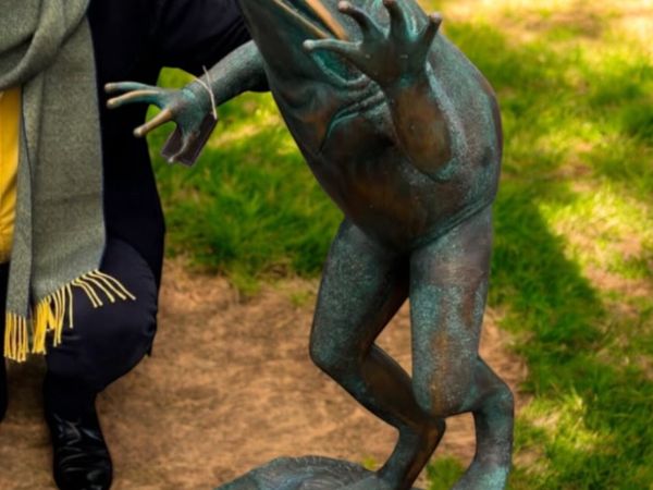 no-image