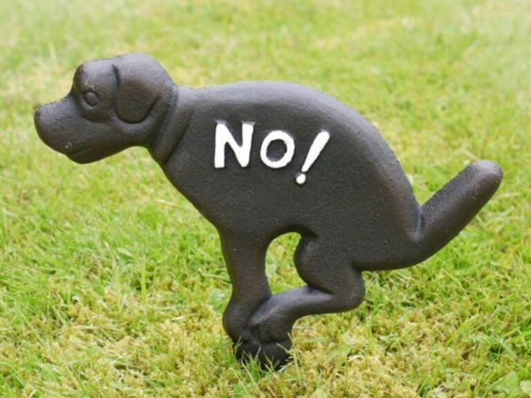 no-image