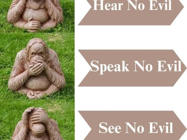no-image