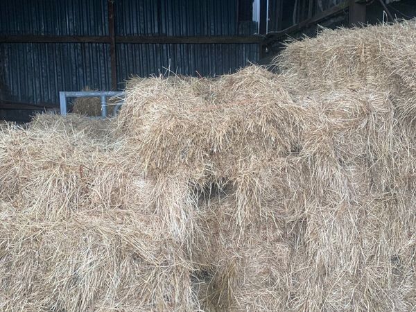 Hay for sale in Co. Cavan for €4 on DoneDeal