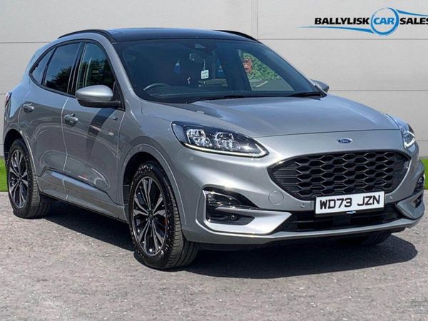 Ford Kuga , Petrol Hybrid, 2024, Silver