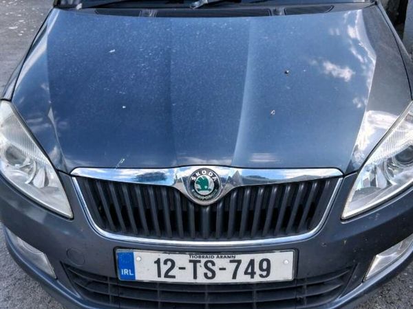 Skoda Fabia Hatchback, Petrol, 2012, Grey