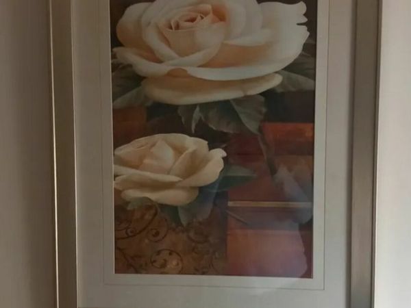 no-image