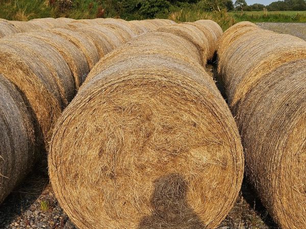 Hay and Haylage For Sale for sale in Co. Galway for €35 on DoneDeal