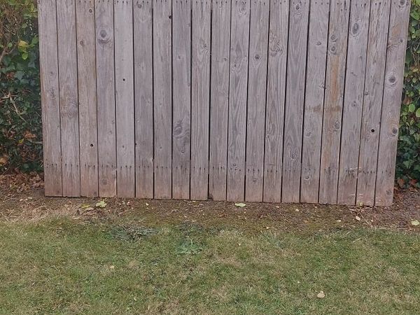 no-image