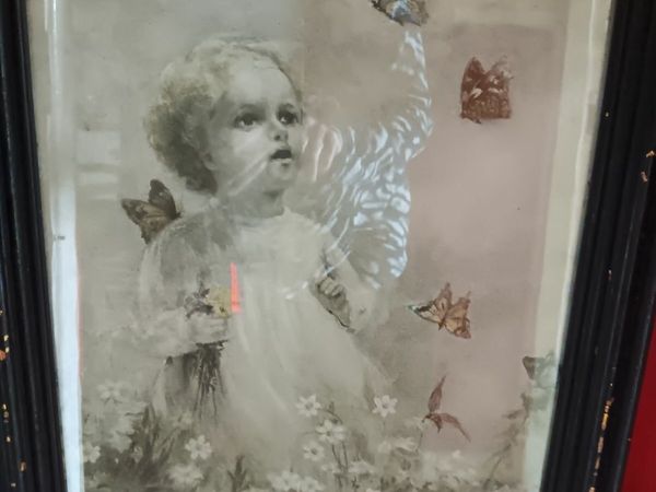 no-image