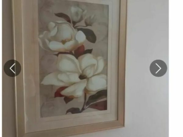 no-image