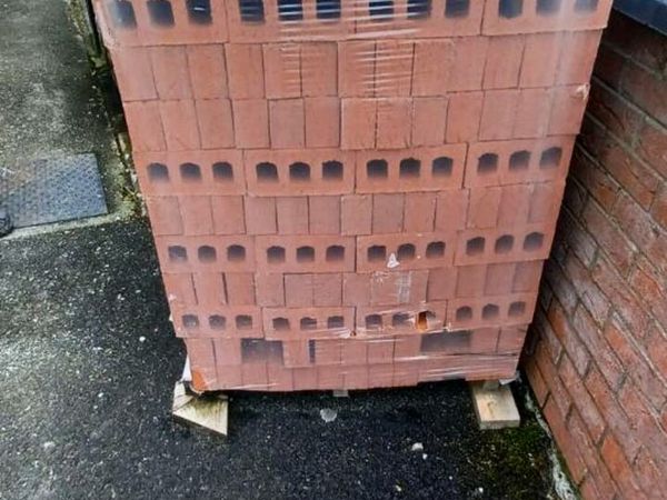 no-image