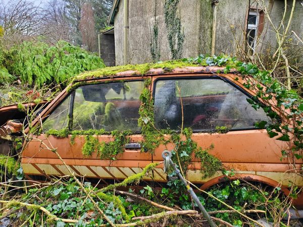 Ford Fiesta Hatchback, Petrol, 1980, Brown