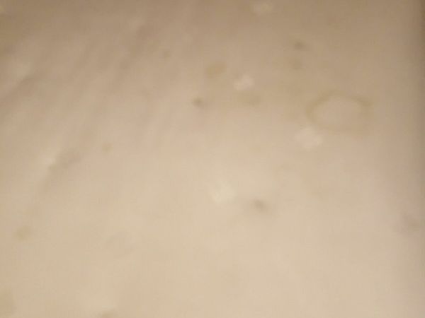 no-image