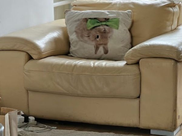 no-image