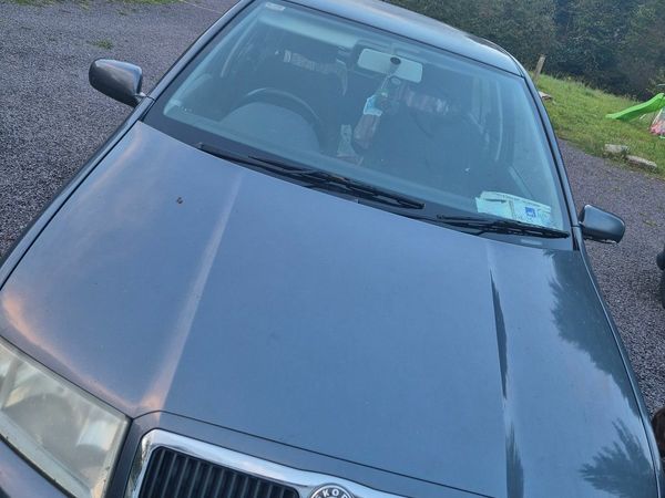 Skoda Fabia Hatchback, Petrol, 2007, Grey