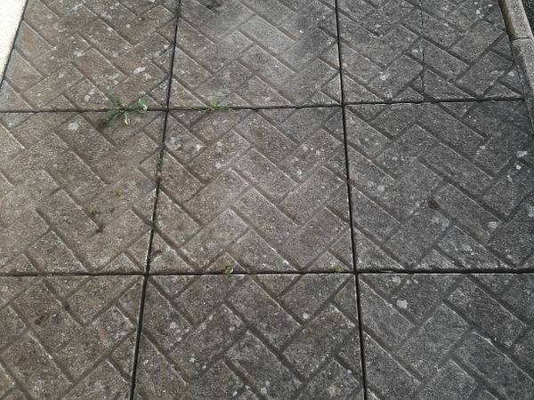 no-image