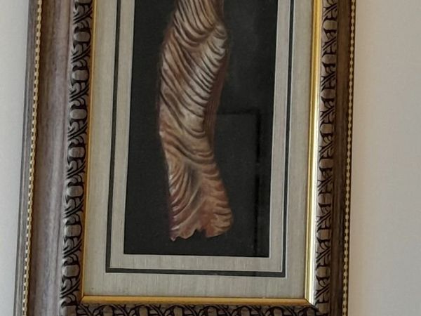 no-image
