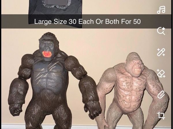 no-image