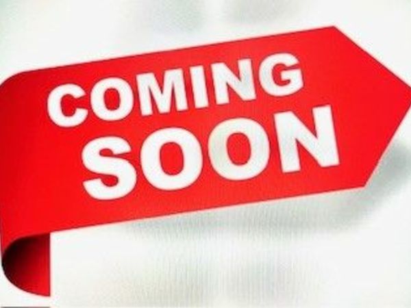 Volkswagen Polo Hatchback, Petrol, 2016, White