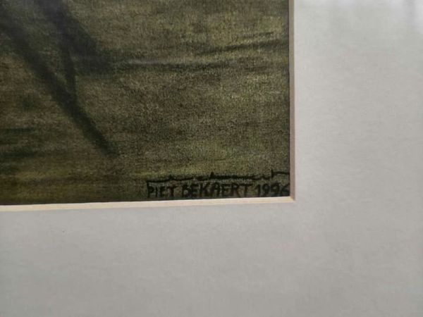 no-image