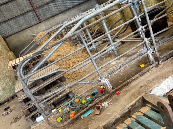 Moore concrete cow cubicles /concrete base for sale in Co. Down for £ ...