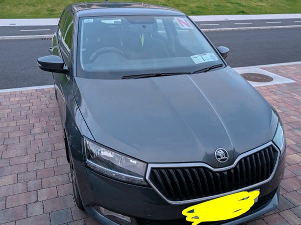 Skoda Fabia Hatchback, Petrol, 2019, Grey