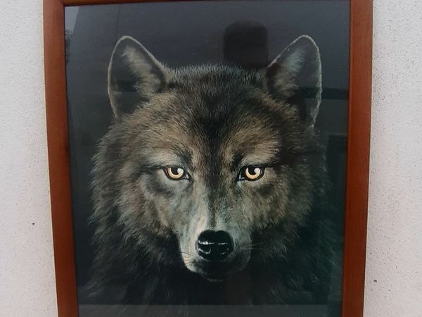 no-image