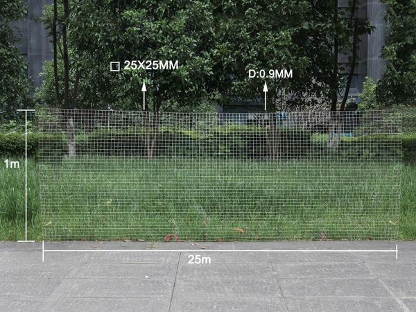 no-image