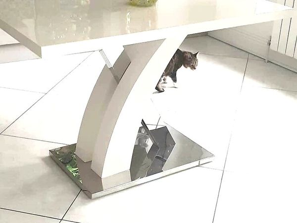no-image