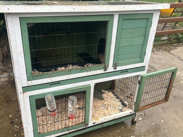 2 Lops Rabbits + Hutch for sale in Co. Donegal for €60 on DoneDeal