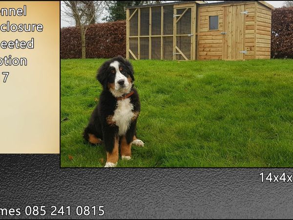 Dog Kennel Enclosure for sale in Longford for €410 on DoneDeal