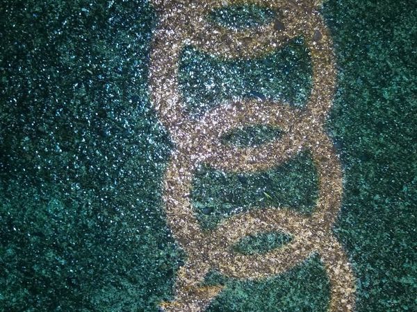 Audi A7 Hatchback, Diesel, 2015, White