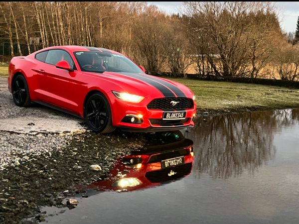 Ford Mustang Coupe, Petrol, 2017, Red