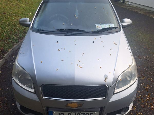 Chevrolet Aveo Hatchback, Petrol, 2010, Silver