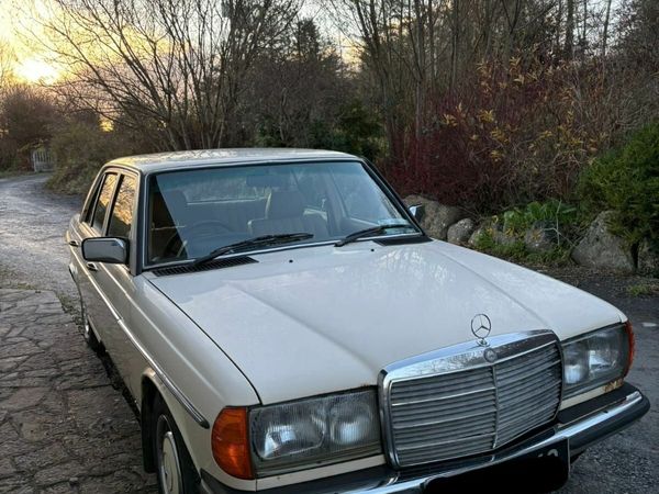 Other Other Saloon, Petrol, 1984, Beige