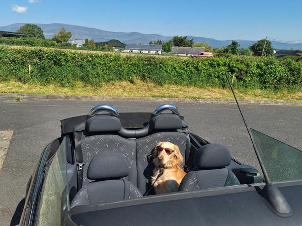 Mini One Convertible, Petrol, 2007, Black