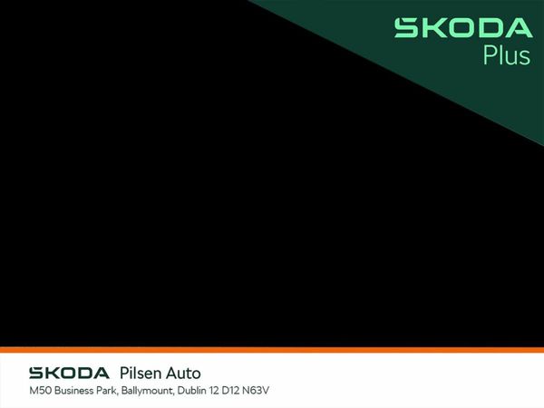 Skoda Fabia Hatchback, Petrol, 2025, Grey