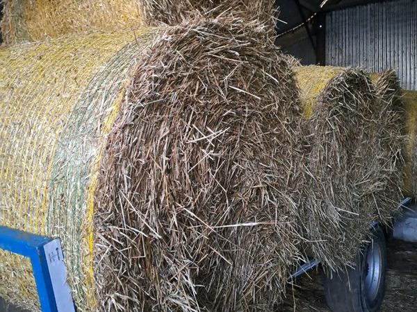 Spring barley straw for sale in Co. Wexford for €20 on DoneDeal