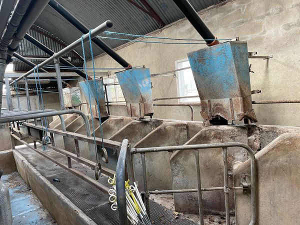 8-unit-milking-parlour-for-sale-in-co-kilkenny-for-0-on-donedeal