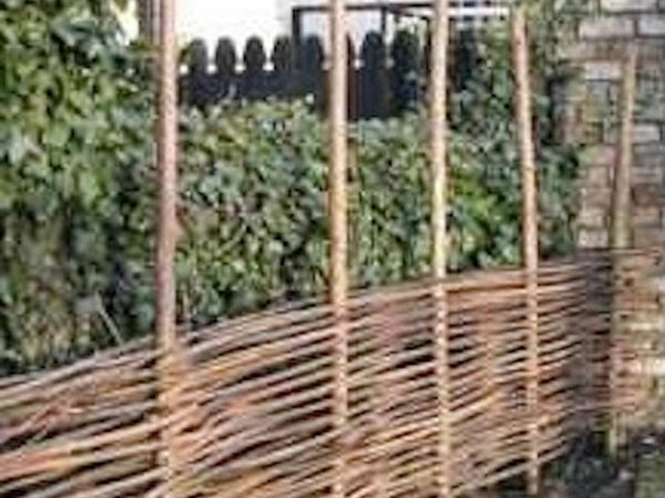 Willow Rods for weaving furniture, borders, basket for sale in Co ...