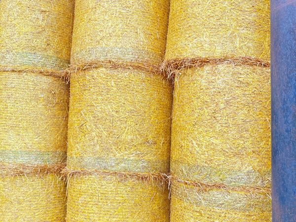 Spring Barley Straw for sale in Co. Louth for €25 on DoneDeal