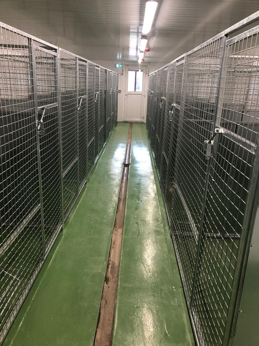 Done deal 2024 dog pens