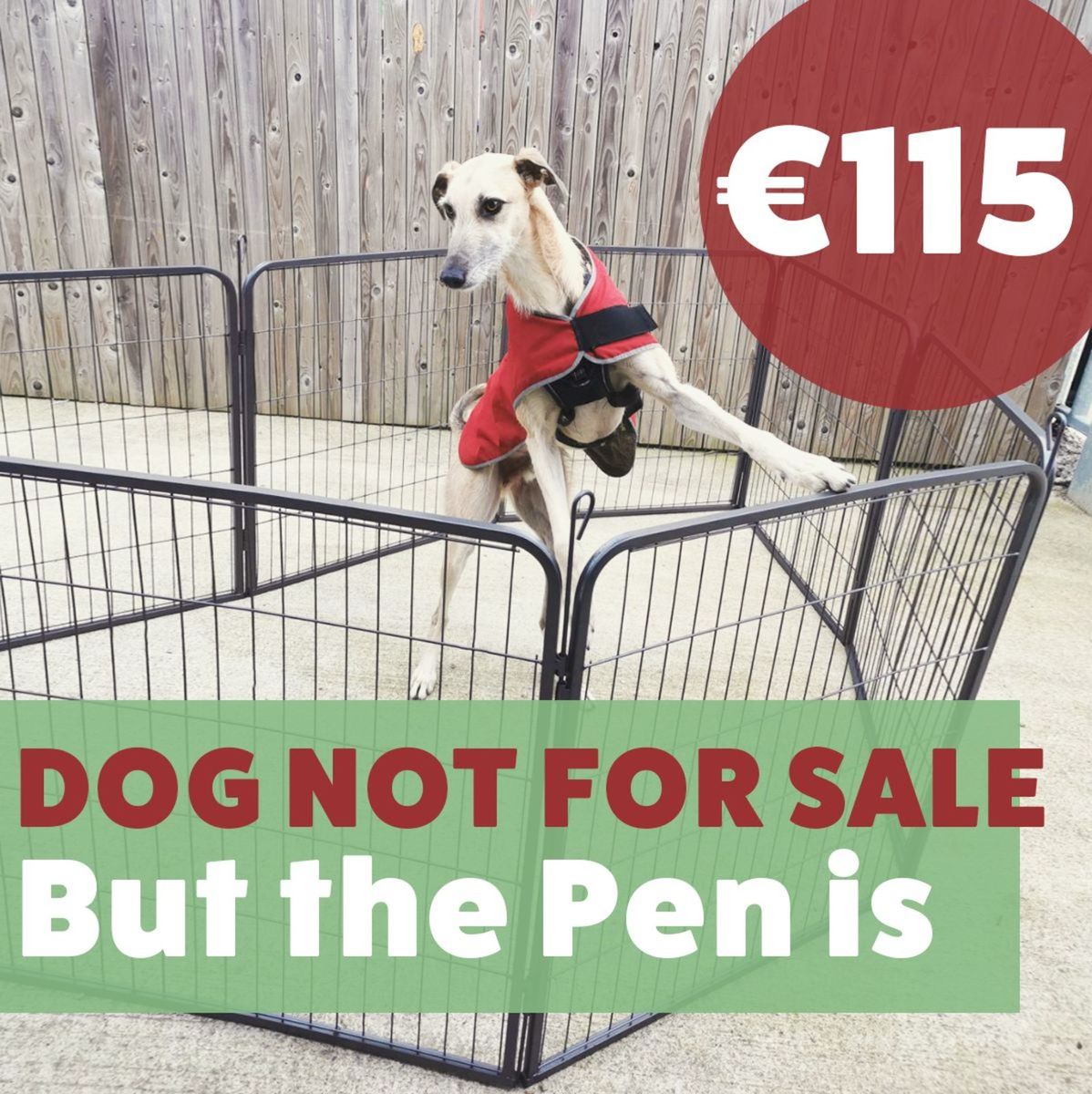 Done deal 2024 dog pens